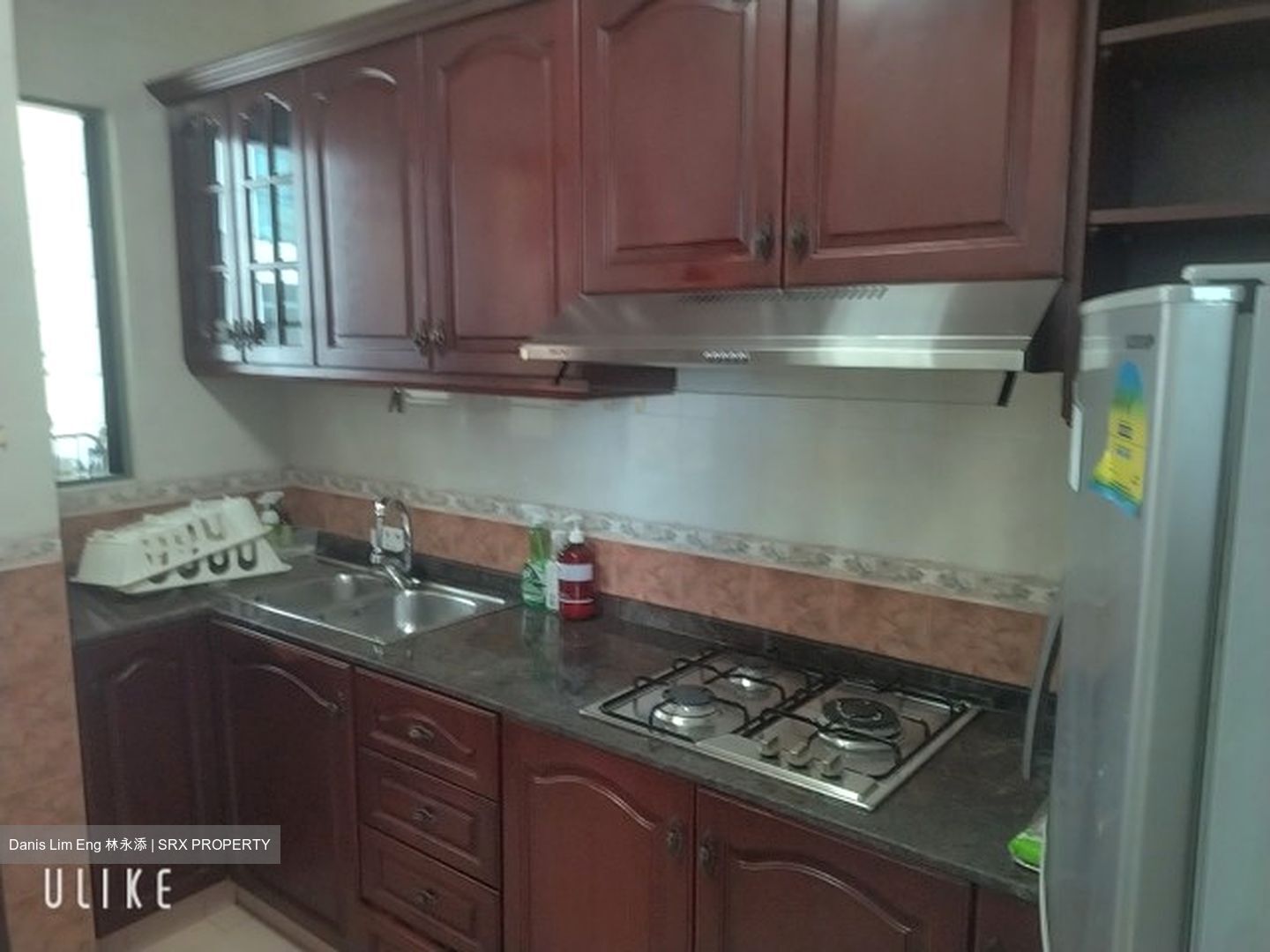 Tanglin Regency (D10), Condominium #604353211